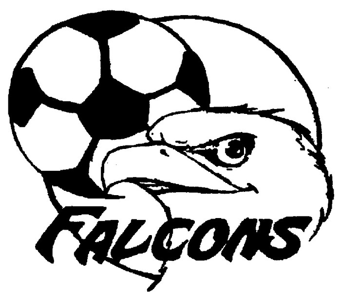 Falcon soccer